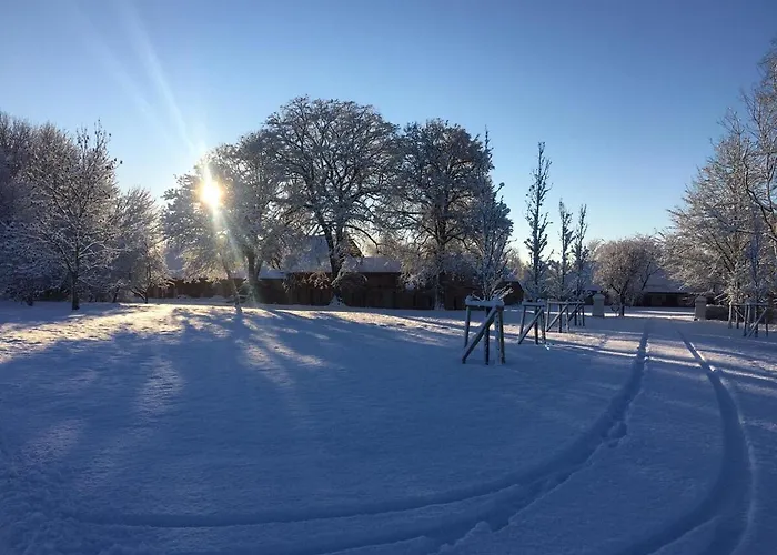 Alte Schmiede Mit Gutspark アパート Rambin