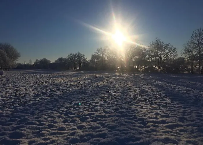 Alte Schmiede Mit Gutspark *